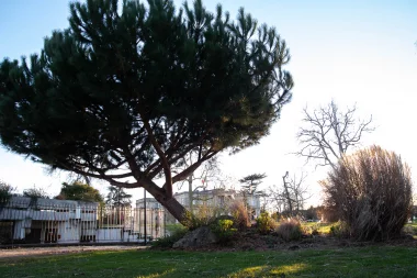 Parc du chateau de Peixotto de Talence (4).